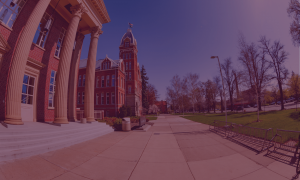 University