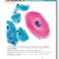 STD Journal